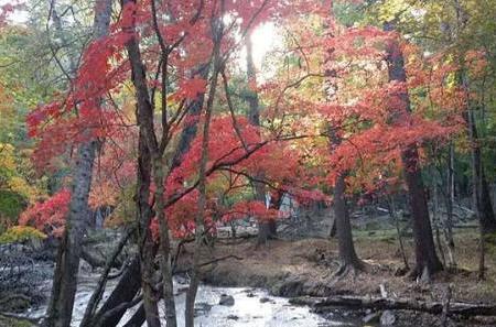 吉林風景—露水河國家森林公園