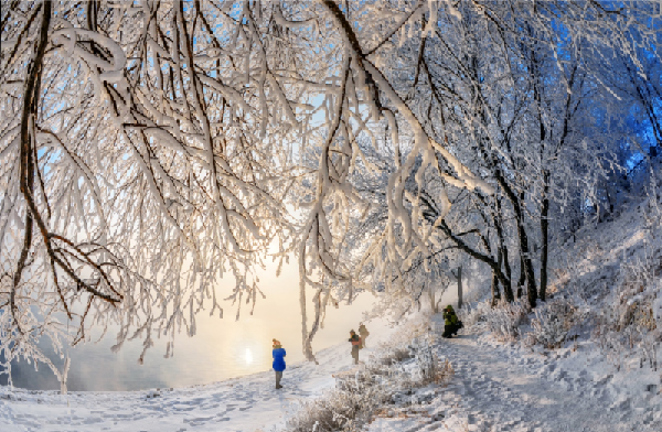 吉林新观察·长白天下雪丨每一张都是壁纸，最美雾凇看这里