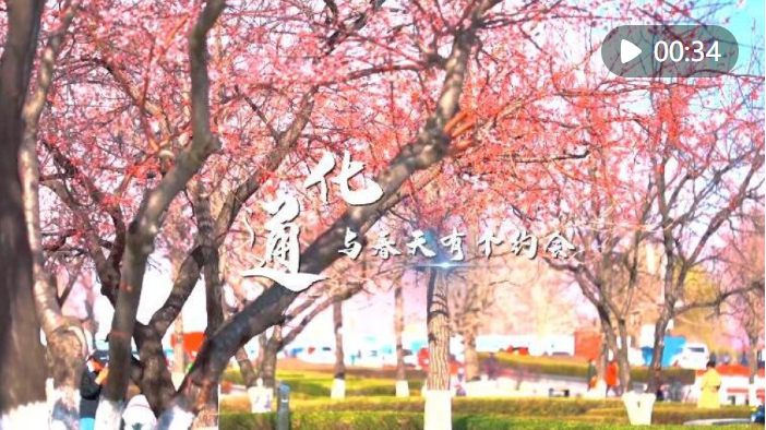 春暖“吉”花开丨吉林省通化市：与春天有个约会